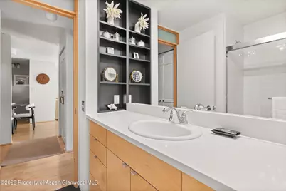 910 W Hallam Street #8, Aspen, CO 81611 - Photo 23