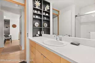 910 W Hallam St, Aspen, CO 81611 - Photo 23