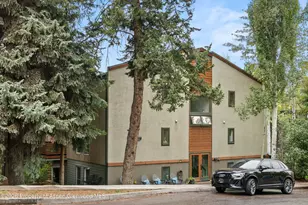 910 W Hallam St, Aspen, CO 81611 - Photo 27