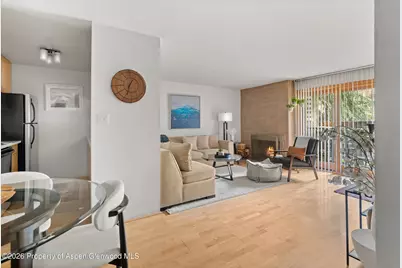 910 W Hallam Street #8, Aspen, CO 81611 - Photo 9