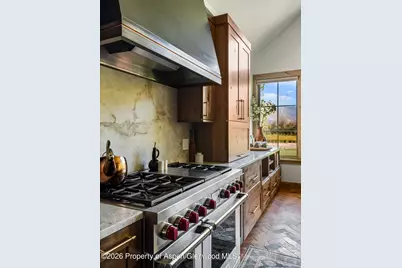 14 Silver Spruce Drive, Carbondale, CO 81623 - Photo 11