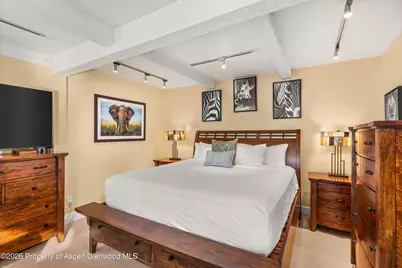 709 E Main Street #201, Aspen, CO 81611 - Photo 9