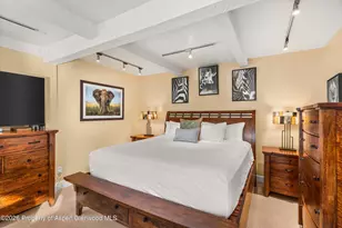 709 E Main St, Aspen, CO 81611 - Photo 9