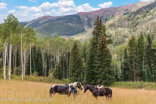 Tbd Conundrum Creek Rd, Aspen, CO 81611 - Photo 1