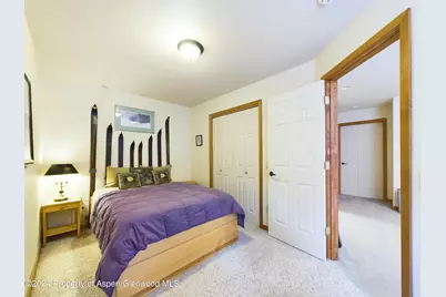 170 Totterdown Road, Aspen, CO 81611 - Photo 1