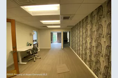 420 E Main Street #200, Aspen, CO 81611 - Photo 1