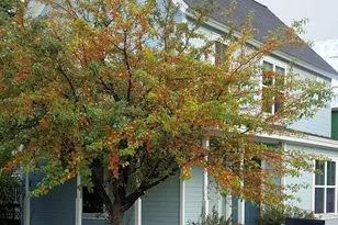 1608 Crawford Way, Glenwood Springs, CO 81601 - Photo 1