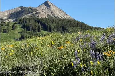 Tdr Tdr, Aspen, CO 81611 - Photo 1