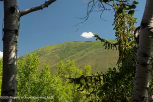 210 S W End St, Aspen, CO 81611 - Photo 1