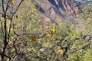 215 2nd St, Glenwood Springs, CO 81601 - Photo 1