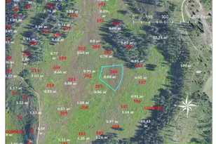 Tbd Wiffle Tree Trail, Oak Creek, CO 80467 - Photo 1
