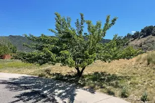 59 Mount Yale Ct, New Castle, CO 81647 - Photo 1