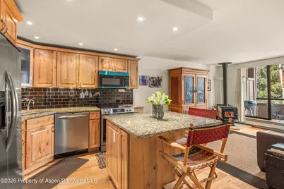 236 Vine Street, Aspen, CO 81611 - Photo 1