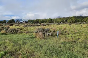 2347 Elk Springs Dr, Glenwood Springs, CO 81601 - Photo 1