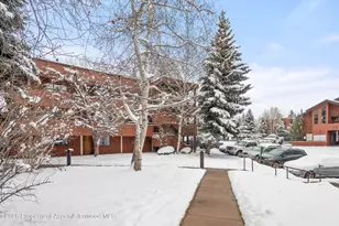 1317 Vine St, Aspen, CO 81611 - Photo 1