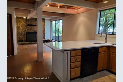 101 E Cooper Avenue #103, Aspen, CO 81611 - Photo 1