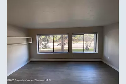 725 E Main Street #106, Aspen, CO 81611 - Photo 1