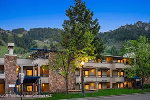 301 E Hyman Ave, Aspen, CO 81611 - Photo 1