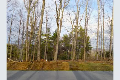 Lot  20 Boulder Cay Road, Boone, NC 28607 - Photo 5
