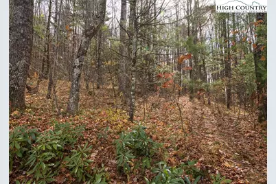 Tbd Lot 20 Solitude Lane, Todd, NC 28684 - Photo 7