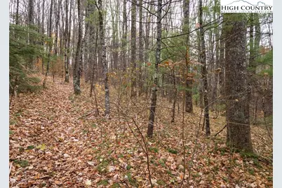 Tbd Lot 20 Solitude Lane, Todd, NC 28684 - Photo 3