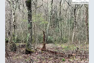 Lot 17 Cielo Road, Blowing Rock, NC 28605 - Photo 5