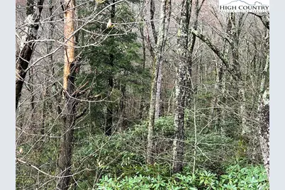 Lot 17 Cielo Road, Blowing Rock, NC 28605 - Photo 3