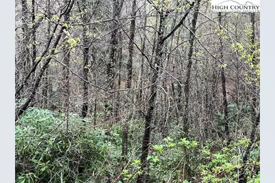 Lot 24 Cielo Road, Blowing Rock, NC 28605 - Photo 3