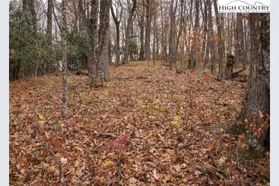 Tbd Lot 14 Solitude Ln, Todd, NC 28684 - Photo 31
