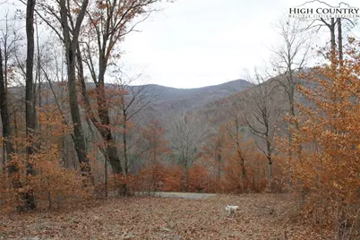 Tbd Lot 14 Solitude Ln, Todd, NC 28684 - Photo 13
