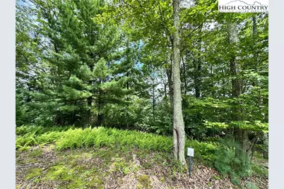 Two Lots: 9 & 10 Sunset Ridge Drive, Boone, NC 28607 - Photo 7