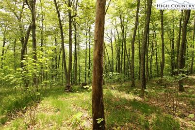 Lot 65 Madisyn Oaks Lane, Boone, NC 28607 - Photo 9