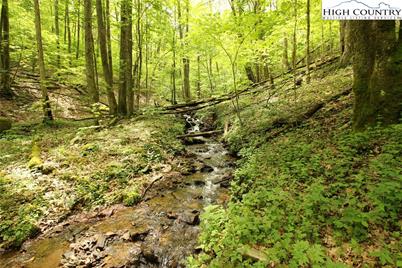 Lot 65 Madisyn Oaks Lane, Boone, NC 28607 - Photo 11