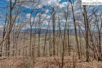 Lot 16 Twin Hollows, Vilas, NC 28692 - Photo 9