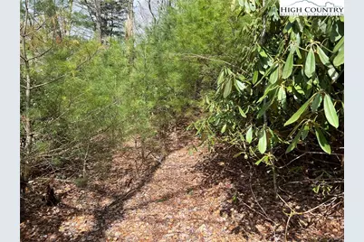 Lot 3 Cora's Path, Blowing Rock, NC 28605 - Photo 5