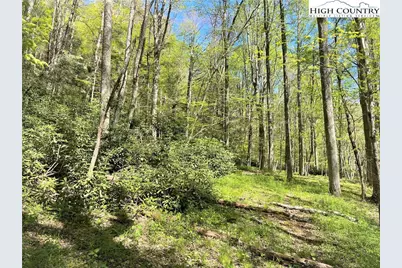 Lots 86, 87 & 88 Possum Hollow Road, Blowing Rock, NC 28605 - Photo 33