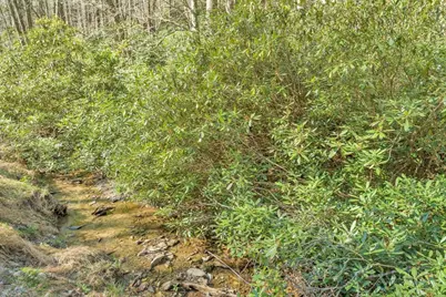 Lots 86, 87 & 88 Possum Hollow Road, Blowing Rock, NC 28605 - Photo 13