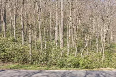 Lots 86, 87 & 88 Possum Hollow Road, Blowing Rock, NC 28605 - Photo 7