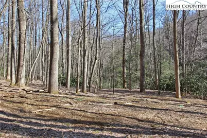 Lots 86, 87 & 88 Possum Hollow Road, Blowing Rock, NC 28605 - Photo 11