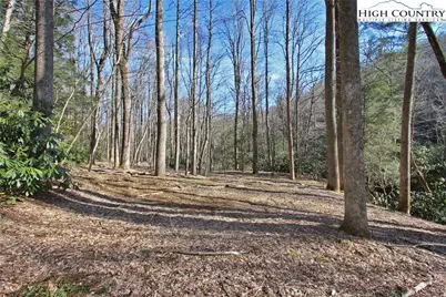 Lots 86, 87 & 88 Possum Hollow Road, Blowing Rock, NC 28605 - Photo 9