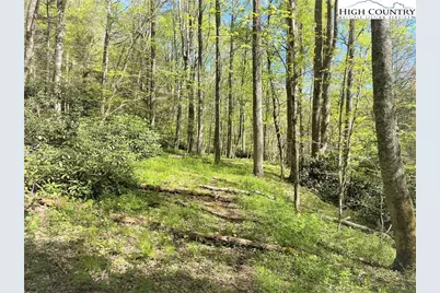 Lots 86, 87 & 88 Possum Hollow Road, Blowing Rock, NC 28605 - Photo 31