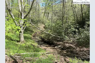 Lots 86, 87 & 88 Possum Hollow Road, Blowing Rock, NC 28605 - Photo 17