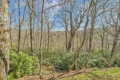Lots 86, 87 & 88 Possum Hollow Road, Blowing Rock, NC 28605 - Photo 5