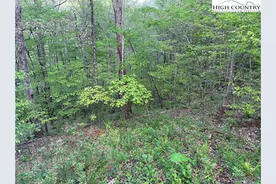Tbd Lot #21R Pinnacle Ridge, Todd, NC 28684 - Photo 3