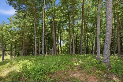 Lot 64 Poplar Forest Drive, Boone, NC 28607 - Photo 7