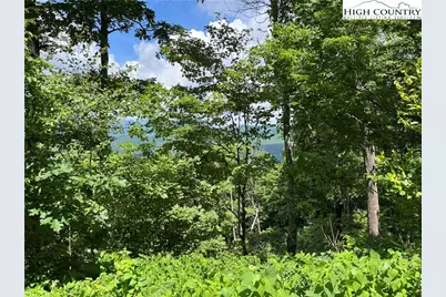 Tbd Crown Spruce Lane, West Jefferson, NC 28694 - Photo 3
