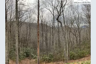 #32 South Creek Drive, Boone, NC 28607 - Photo 9