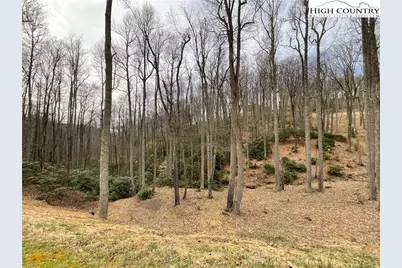 #32 South Creek Drive, Boone, NC 28607 - Photo 5