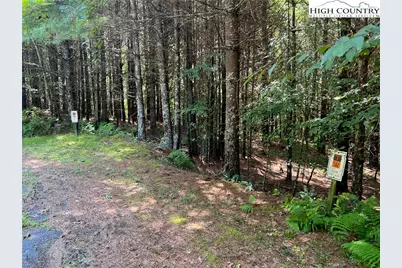 Tbd (Lot 29 & 30) Timberwilde Court, Laurel Springs, NC 28644 - Photo 3