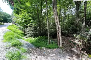 252 Greenbriar Rd, Beech Mountain, NC 28604 - Photo 1